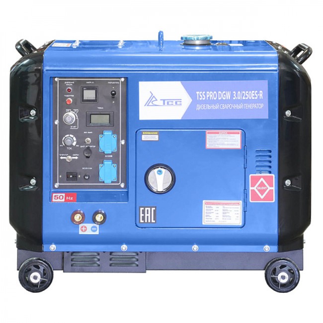 Сварочный генератор TSS PRO DGW 3.0/250ES-R Сварочный генератор TSS PRO DGW 3.0/250ES-R